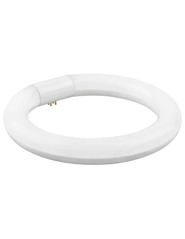 Tubo LED T9 Matel circular 30cm 20W (Fría, Cálida, Neutra) - 1