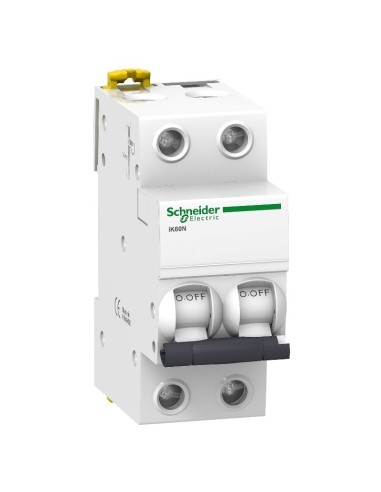 Automático Magnetotérmico IK60N Bipolar 6-40A 6kA Schneider - 1