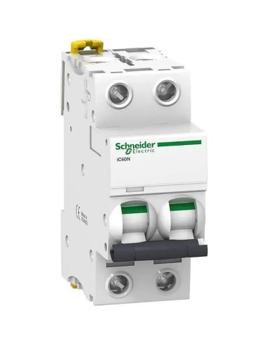 Automático Magnetotérmico Schneider IC60N 2P 6-63A 6kA - 1