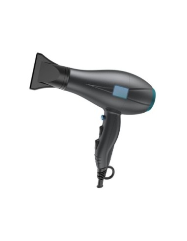 Kuken Secador de Pelo Profesional Iónico 2400W Gris/Azul