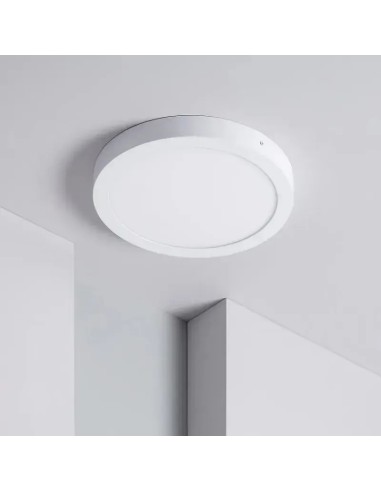 Plafón LED 24W Circular Ø300 mm (fría, cálida) - 1