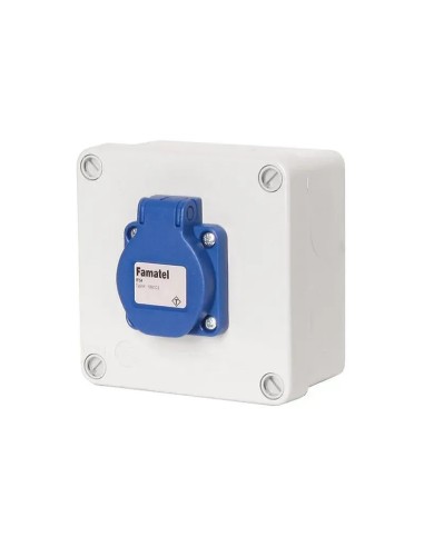 Caja estanca cableada con una toma schuko 2P TT 10/16A IP55 Famatel 3061 - 3