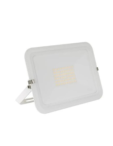 Foco Proyector LED 50W 120 lm/W IP65 cristal blanco (Fría, Cálida, Neutra) - 1